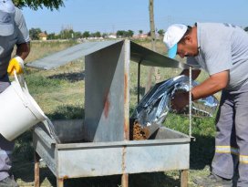 Karatay Belediyesi sokak hayvanlarını unutmuyor