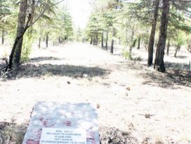 Her şehidin bir ağacı var