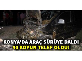Sürüye çarpan araç 40 koyunu telef etti