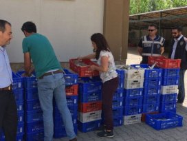 Beyşehir Gölü’nde yavru balık operasyonu