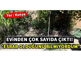 Esrar olduğunu bilmiyordum