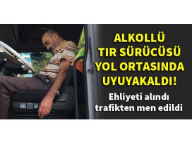 Konyada alkollü tır sürücüsü yol ortasında uyuyakaldı