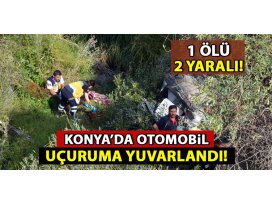 Konyada otomobil uçuruma yuvarlandı