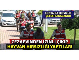 Cezaevinden izinli çıkıp, hayvan hırsızlığı olayına karıştılar