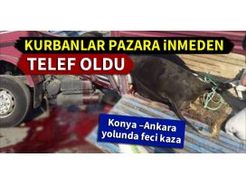 Konya –Ankara yolundaki feci kazada kurbanlar telef oldu