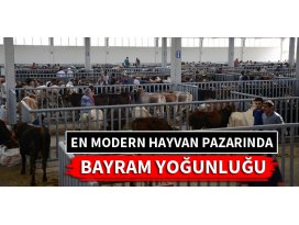 Türkiye’nin en modern hayvan pazarında bayram yoğunluğu