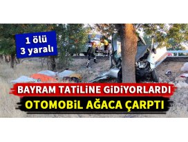 Bayram tatiline giderken ağaca çarptılar! 1 ölü, 3 yaralı