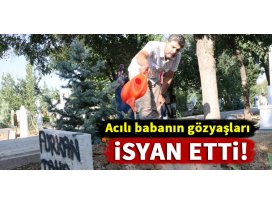 Konyada acılı baba, isyan etti