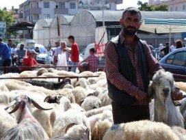 Konya’da Kurban Bayramı manzarası