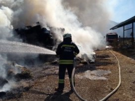Konya’da 2 bin adet saman balyası yandı