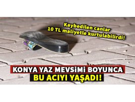 Kaybedilen canlar 10 TL maliyetle kurtulabilirdi!