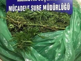 Konya’da uyuşturucu operasyonu: 1 gözaltı