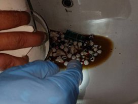 Şüphelinin tuvalete attığı uyuşturucuyu polis çıkardı