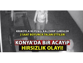Konyada bir acayip hırsızlık