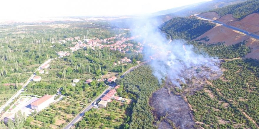 Konyada makilik alanda yangın
