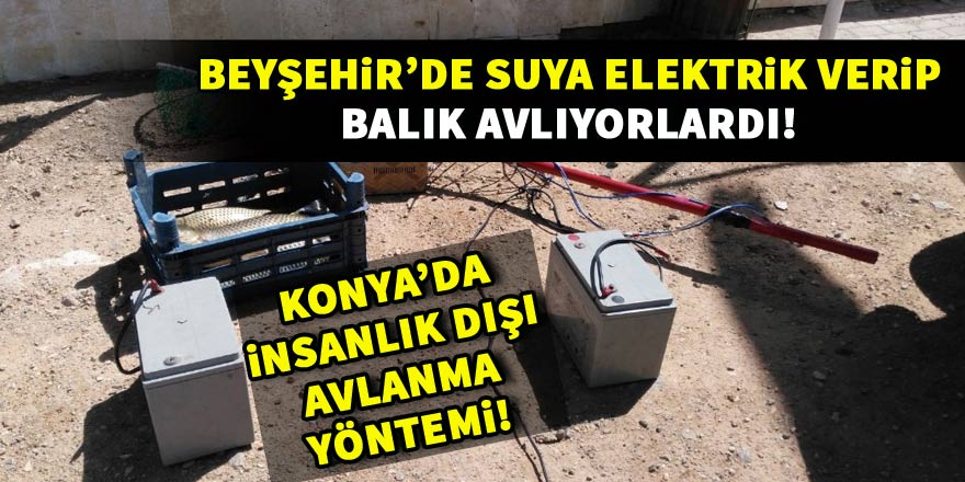 Konyada insanlık dışı avlanma yöntemi!