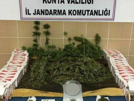 Konya’da jandarmadan uyuşturucu operasyonu