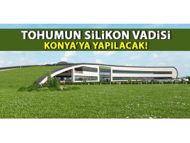 Tohumun silikon vadisi Konyaya yapılacak