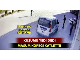 Konyada sokak köpeğini kuşunu yediği için tüfekle vurmuş