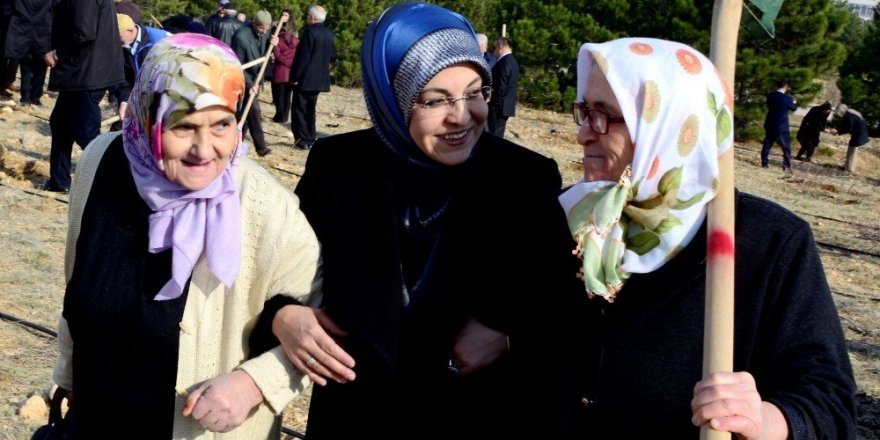 Huzurevi sakinleri fidan dikti