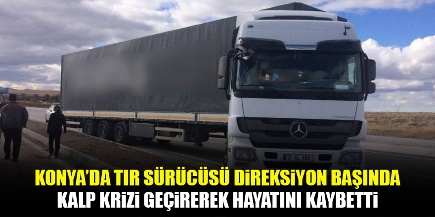 Yolda kalp krizi geçiren tır sürücüsü hayatını kaybetti!