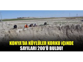 Köylüler korku içinde, sayıları 200ü buldu!