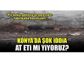 Konya’da at kesildiği iddiası