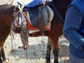 Konya’da usulsüz yaban tavşan avından 2 kişiye bin 630 lira ceza