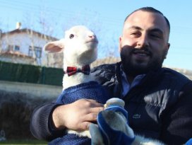 Kuzusuna çocuğu gibi bakıyor