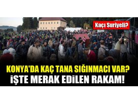 Konyada kaç tane sığınmacı var, kaçı Suriyeli?