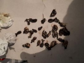Konyada uyuşturucu operasyonu
