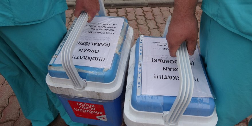 Ereğlideki yaralının beyin ölümü gerçekleşti! Organları bağışlandı