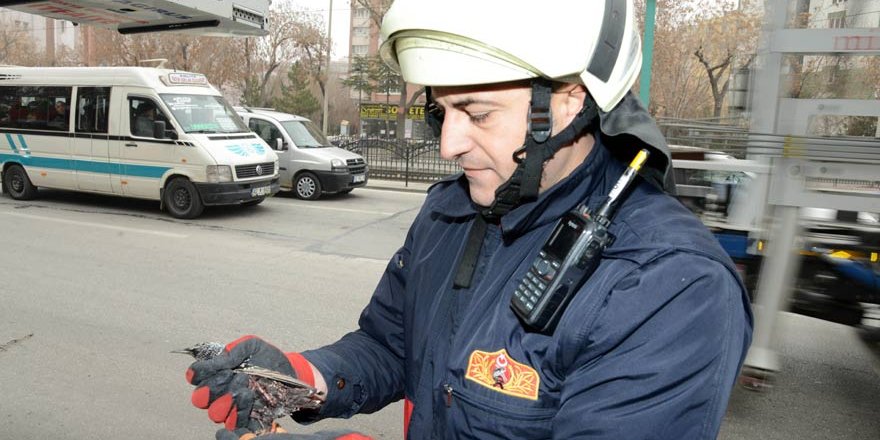 İtfaiyeden yaralı kuş kurtarma operasyonu