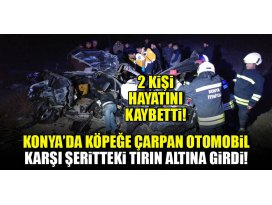 Köpeğe çarpan otomobil karşı şeritteki tırın altına girdi! 2 ölü...