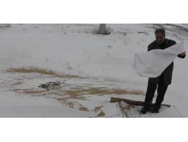 Kulu’da aç kalan hayvanlar için doğaya yem bırakıldı