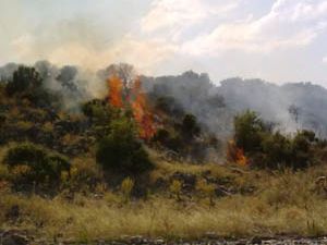 Beyşehir Gölündeki Ada da yangın