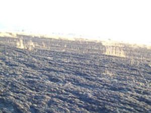 Buğday ekili tarlada yangın