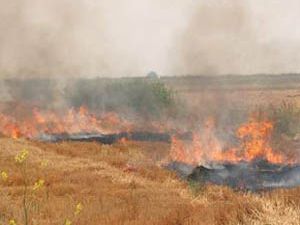 En verimli topraklarımız ateş altında