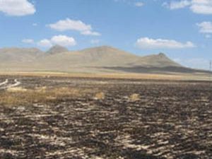 Konyada 400 dekar alan yandı