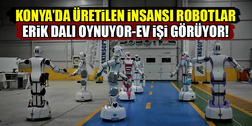 Konyada üretilen yerli insansı robotlar erik dalı oynuyor