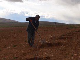 Mahallesine kurduğu bahçeyle örnek olacak