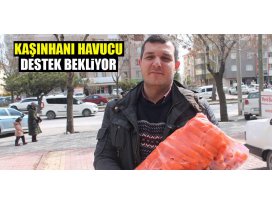 Kaşınhanı havucu destek bekliyor
