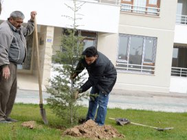 Meramda Yeni Bir Yuva Yeni Bir Fidan projesi