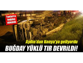 Aydından Konyaya gelen TIR devrildi! Tonlarca buğday döküldü