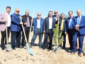 Karatay Belediyesi personeli, ağaç dikti