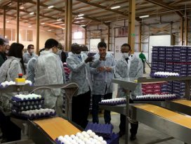 İttifak Holding, dost ülke Sudan’ın Ekonomi ve Ticaret Bakanlarını ağırladı