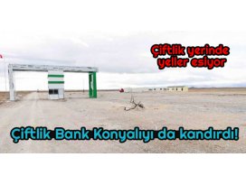 Çiftlik Bank Konyalıyı da kandırdı!